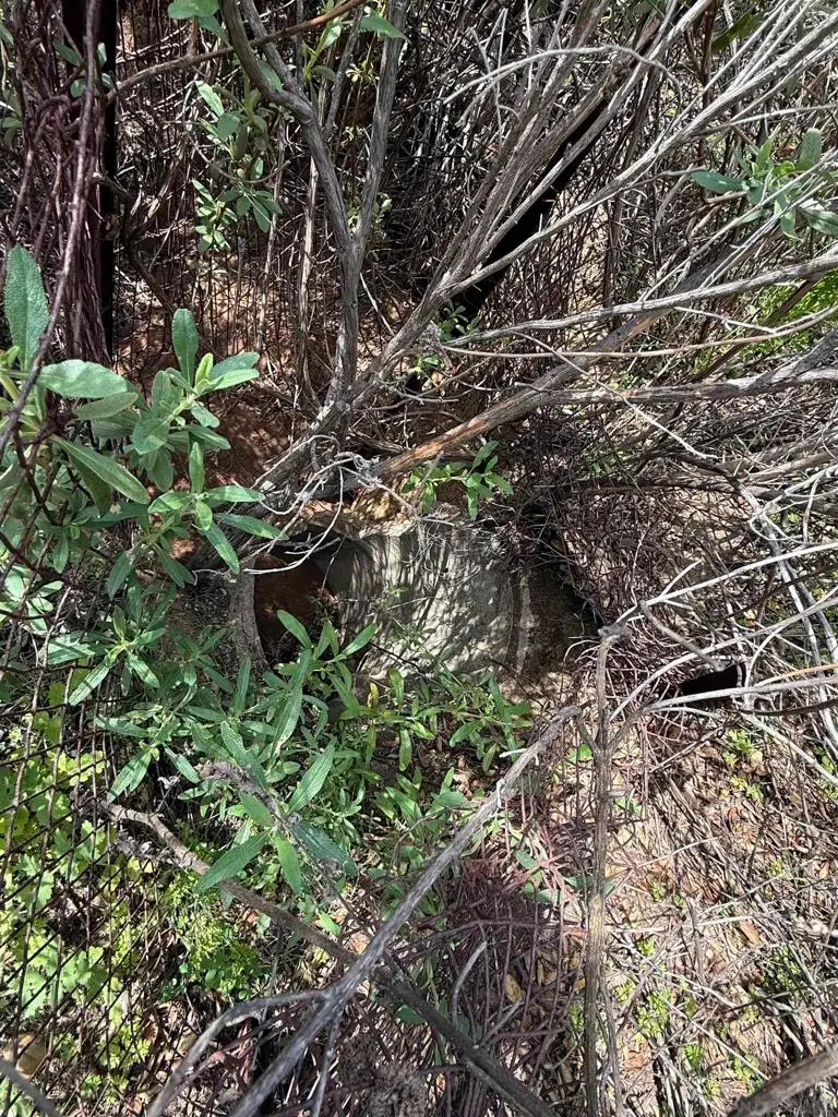 25111 N Centre City Pkwy, Escondido, CA 92026 - #3