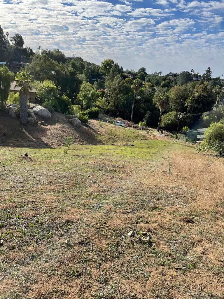 #3