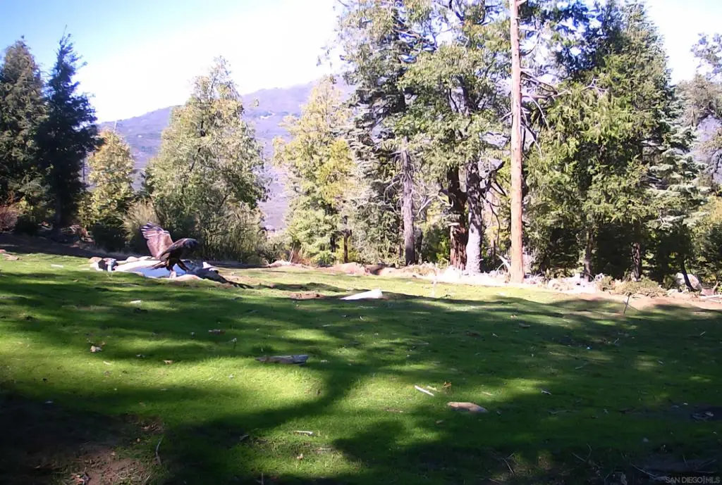 Conifer Lane, Palomar Mountain, CA 92060 - Image #1