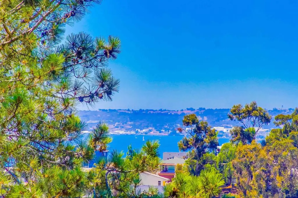 2854 Albatross Street, San Diego, CA 92103 - #1