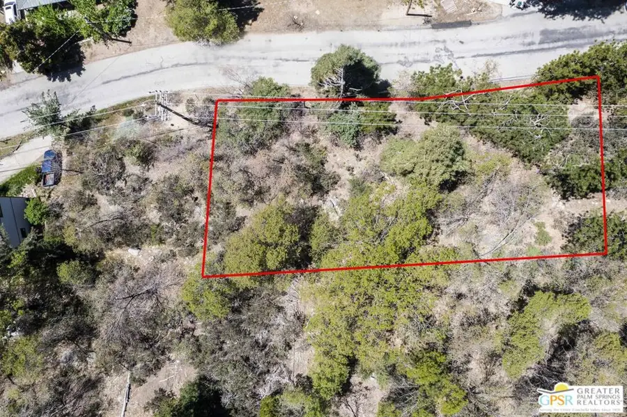 6011 Mountain Home Creek Road, Angelus Oaks, CA 92305 - Image #2