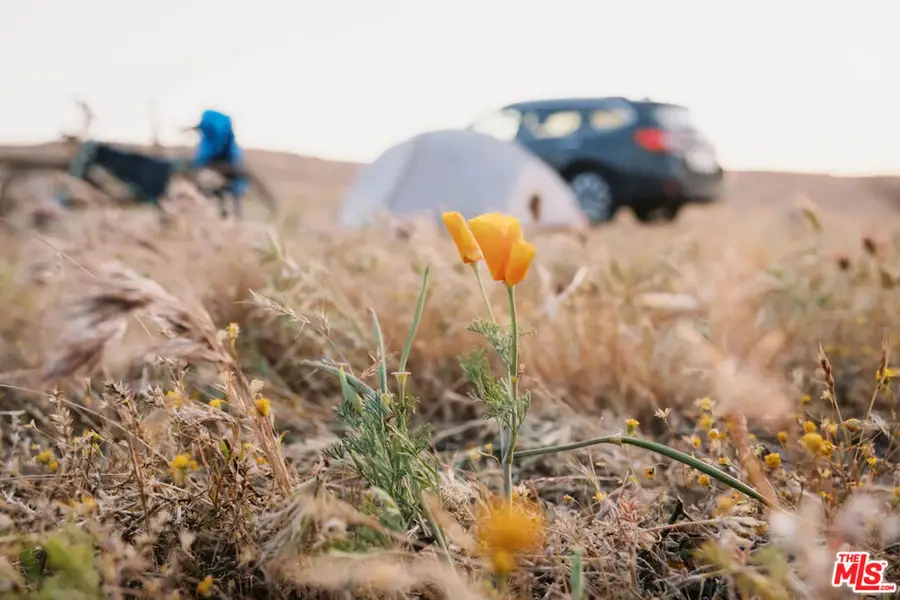 0 Ave E-6, Lancaster, CA 93536 - Image #3