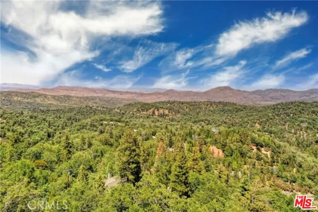 28270 Arbon Lane, Lake Arrowhead, CA 92352 - #1