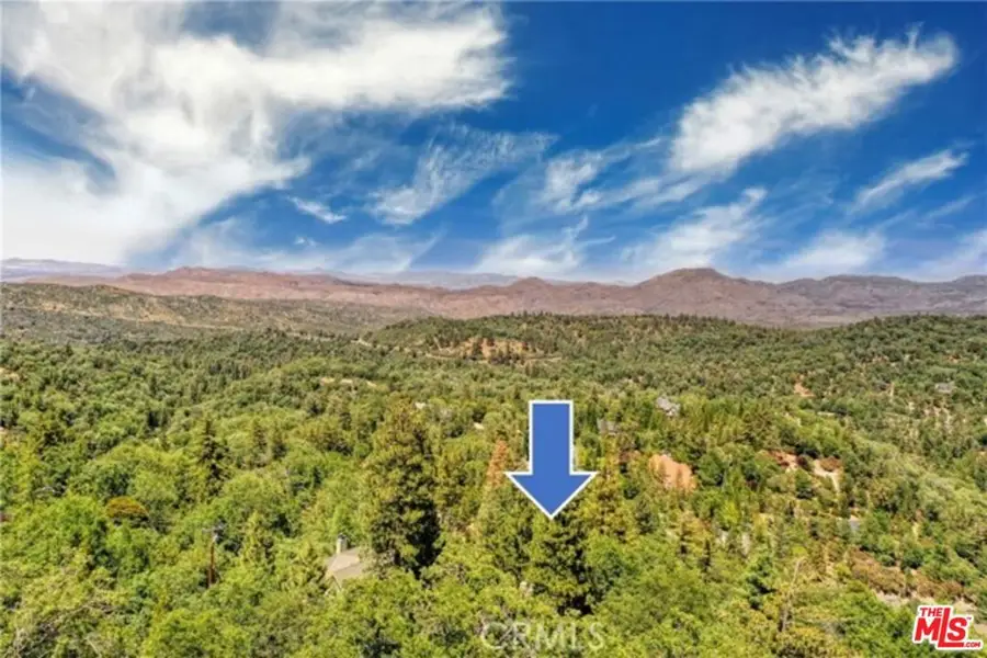 28270 Arbon Lane, Lake Arrowhead, CA 92352 - #2