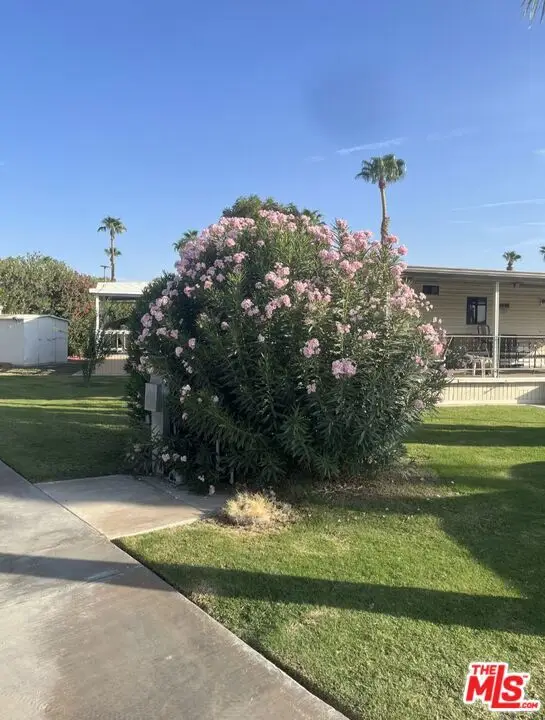 84136 Avenue 44 #217, Indio, CA 92203 - Image #3