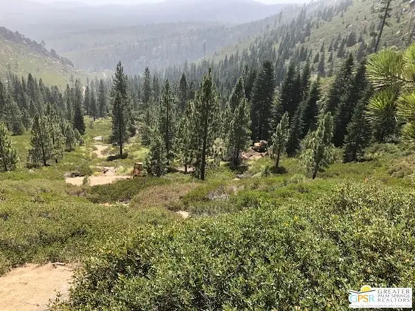 0 Ditch Road, Markleeville, CA 96120