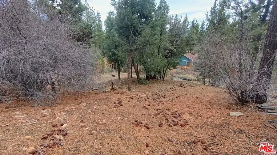 384 Cinderella Drive, Big Bear City, CA 92314 - Image #2