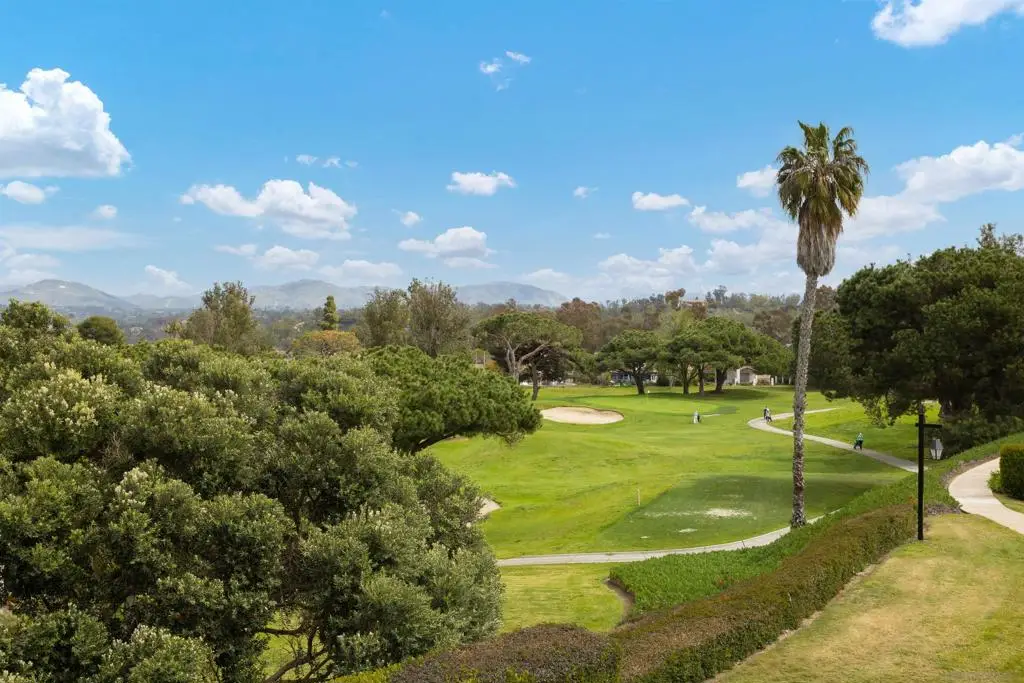 115 Vallarta Ct, Solana Beach, CA 92075 - #1