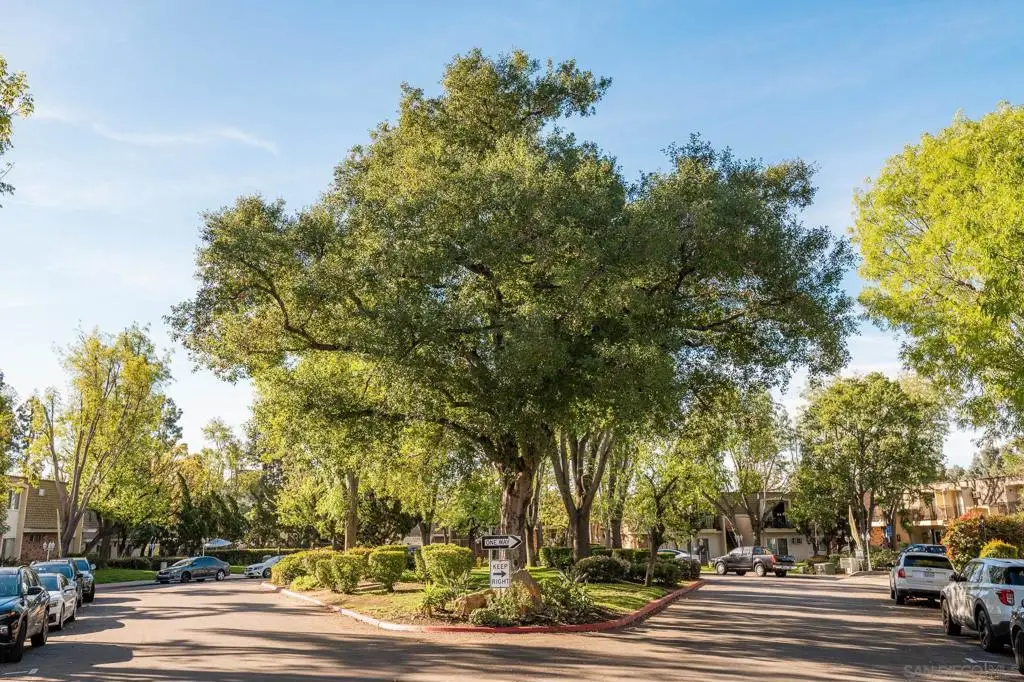 4800 Williamsburg Ln #228, La Mesa, CA 91942 - #1