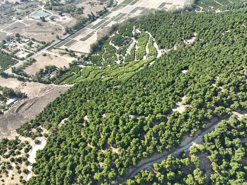 32375 Sam's Mountain Road, Pauma Valley, CA 92061 - #1