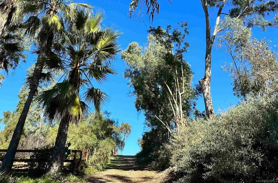 18096 Loma Alegre, Rancho Santa Fe, CA 92067 - #3