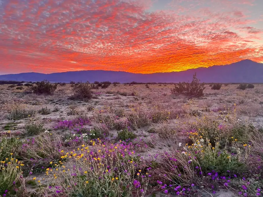 0 Pointing Rock, Borrego Springs, CA 92004 - Image #2