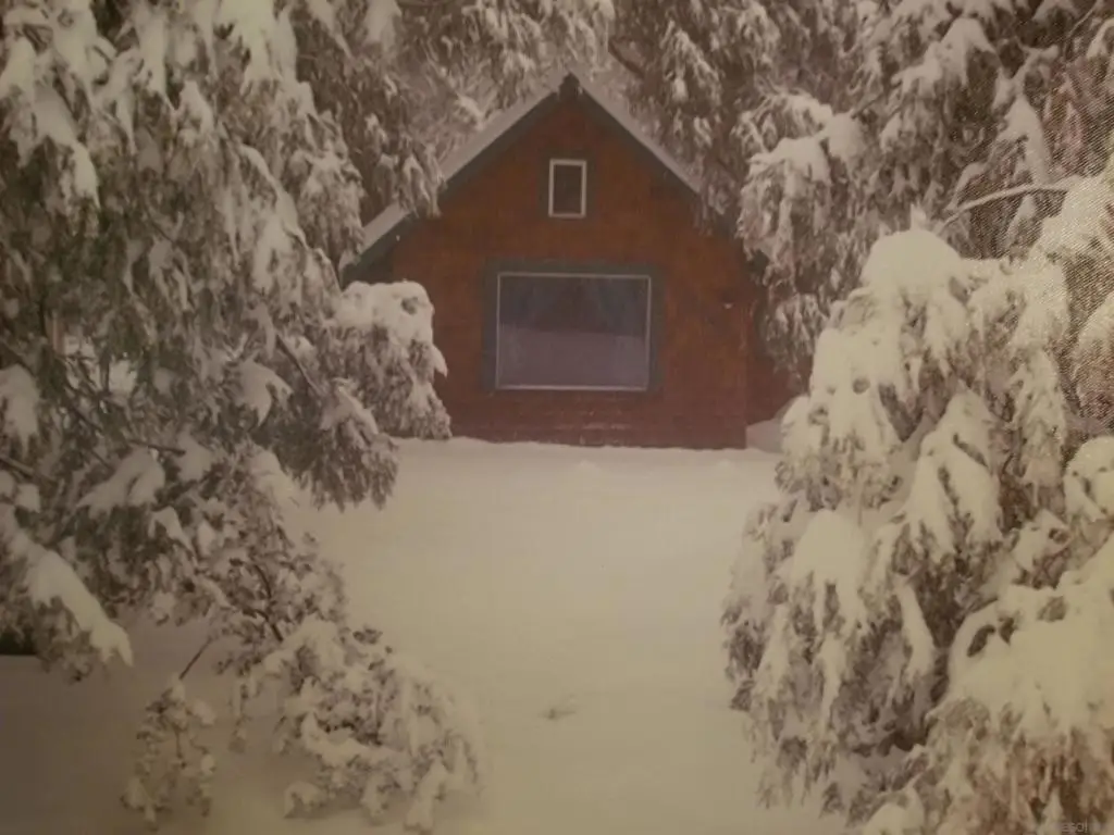 Address Withheld By Seller, Idyllwild, CA 92543 - Image #1