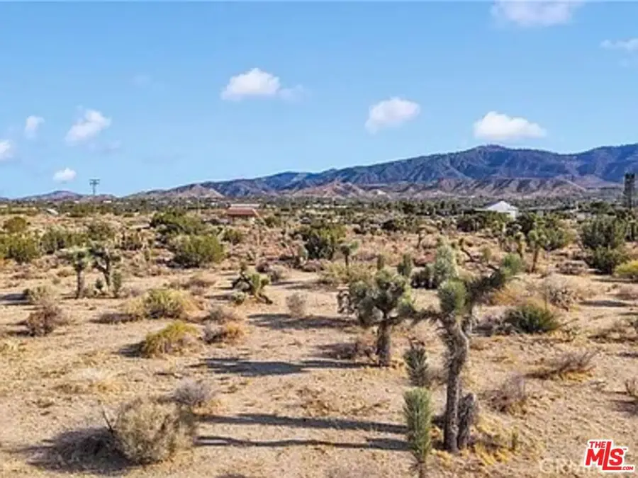 875 Locust Road, Pinon Hills, CA 92372 - #3