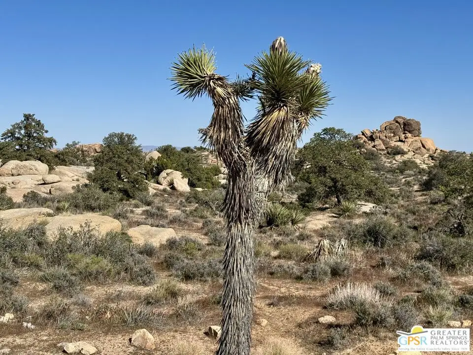 900 Parsons Ranch Road, Pioneertown, CA 92268 - #1