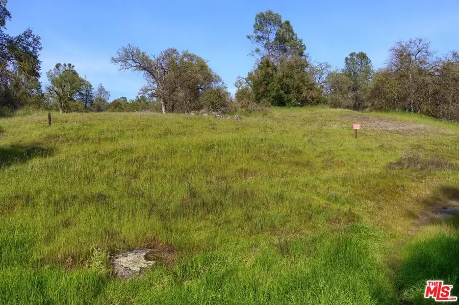 41924 Patrick Ave #TPN4337/4, Coarsegold, CA 93614 - #3