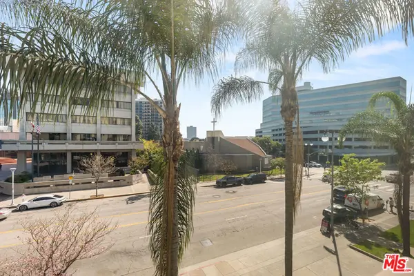 267 S San Pedro Street #221, Los Angeles, CA 90012