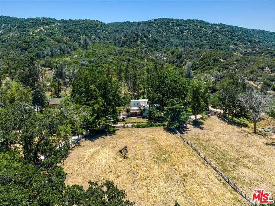 31008 Pine Canyon Road, Lake Hughes, CA 93532 - #1