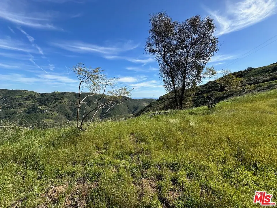 12500 Pacific View Drive, Malibu, CA 90265 - #1