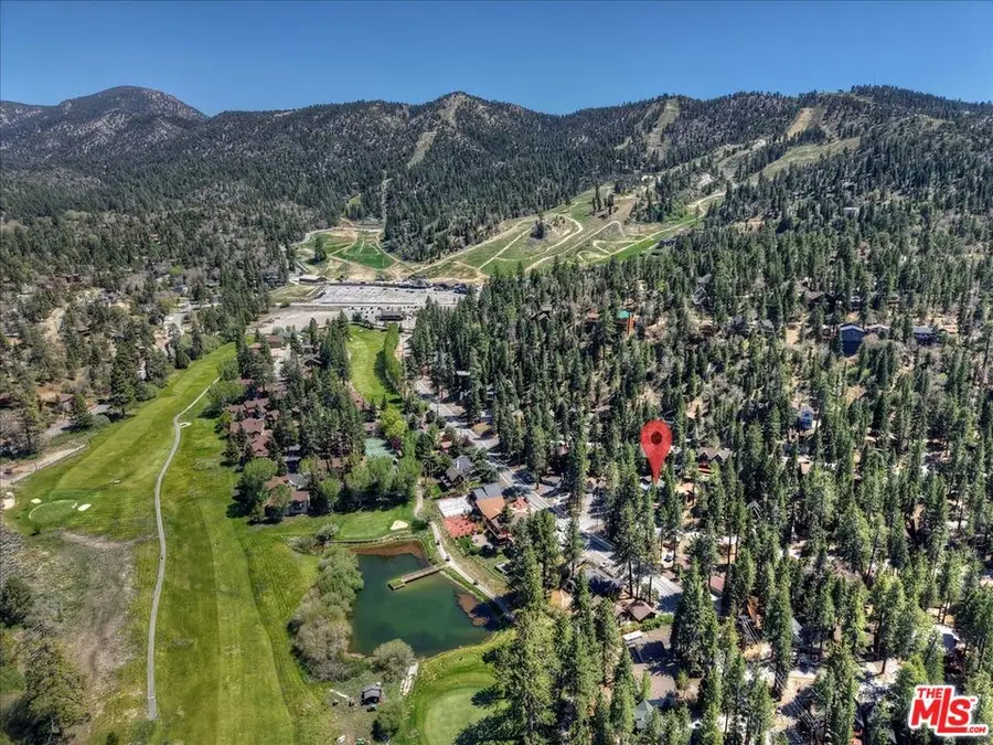 42979 Fern Avenue, Big Bear Lake, CA 92315 - #3