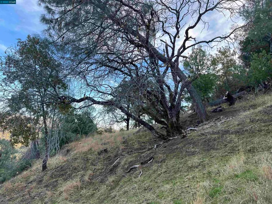 196 Country Club Lane, Napa, CA 94558 - #2