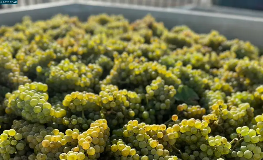 5267 Old Sonoma Rd, Napa, CA 94559 - Image #3