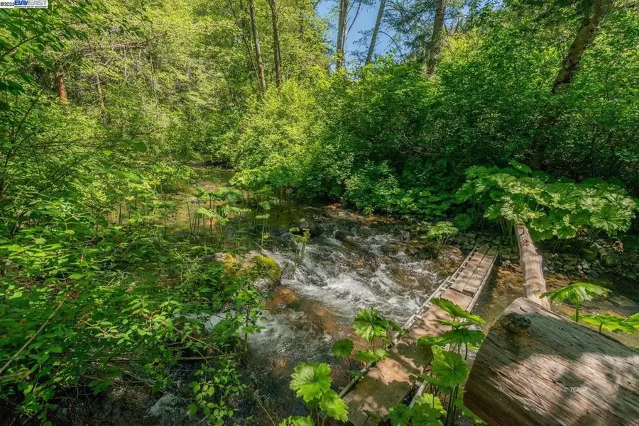 11221 Corral Bottom Rd, Big Bar, CA 96010 - Image #2