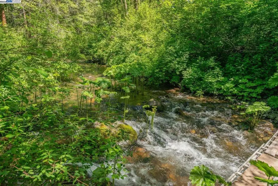 11221 Corral Bottom Rd, Big Bar, CA 96010 - Image #3