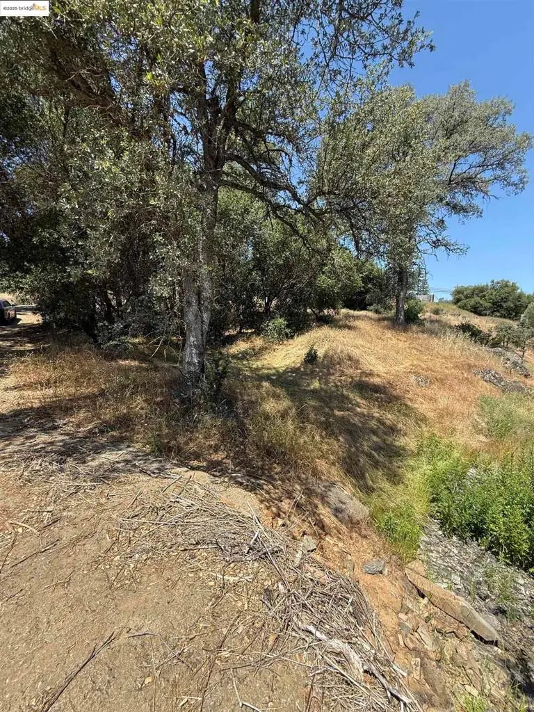 5306 Greeley Hill Road, Coulterville, CA 95311 - Image #3