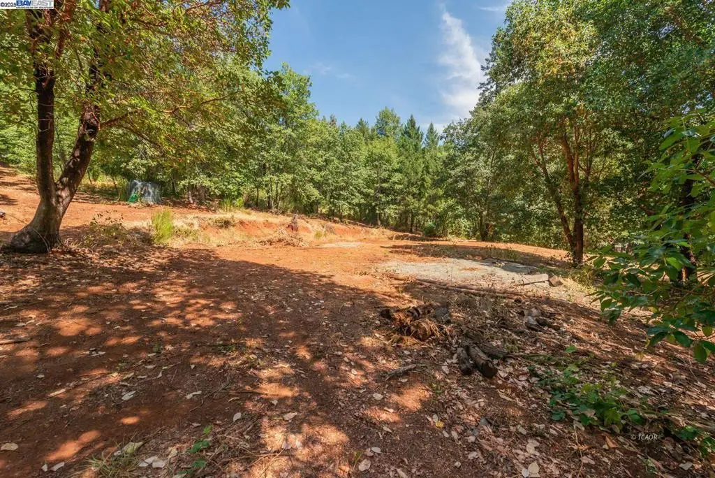 171 Connor Creek Rd, Junction City, CA 96048 - Image #1