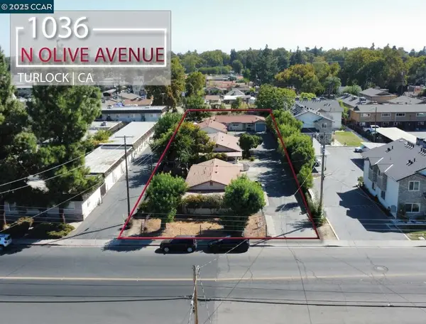 1036 N Olive Ave, Turlock, CA 95380
