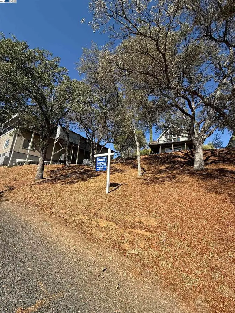 490 Bret Harte Dr, Copperopolis, CA 95228 - Image #3