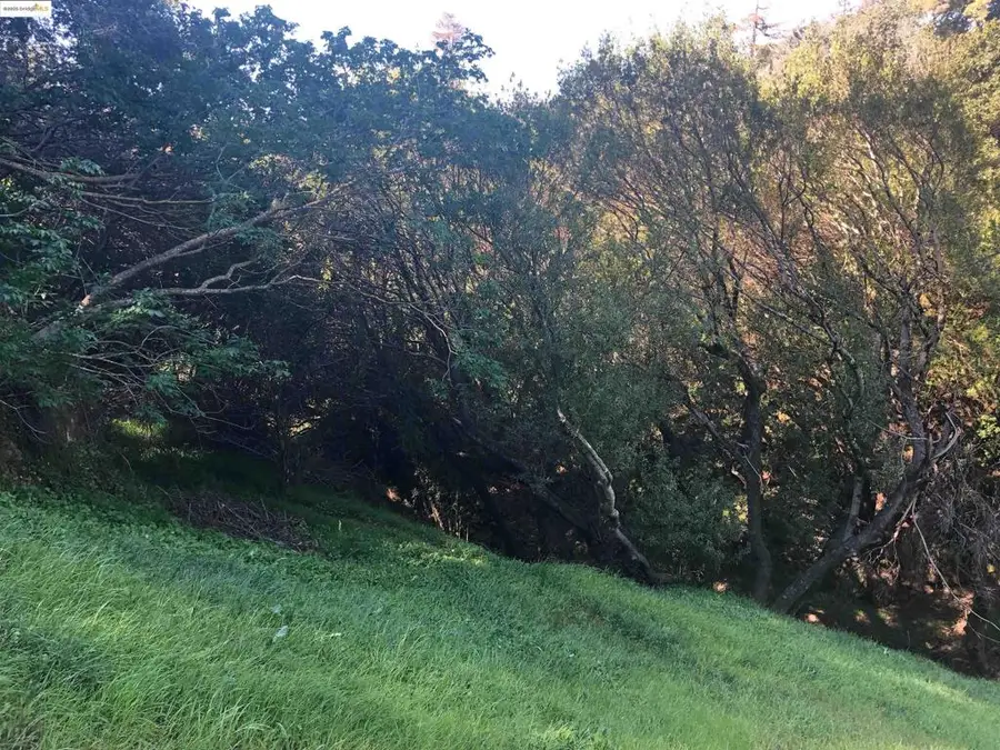 4145 Oak Hill Rd, Oakland, CA 94605 - Image #3