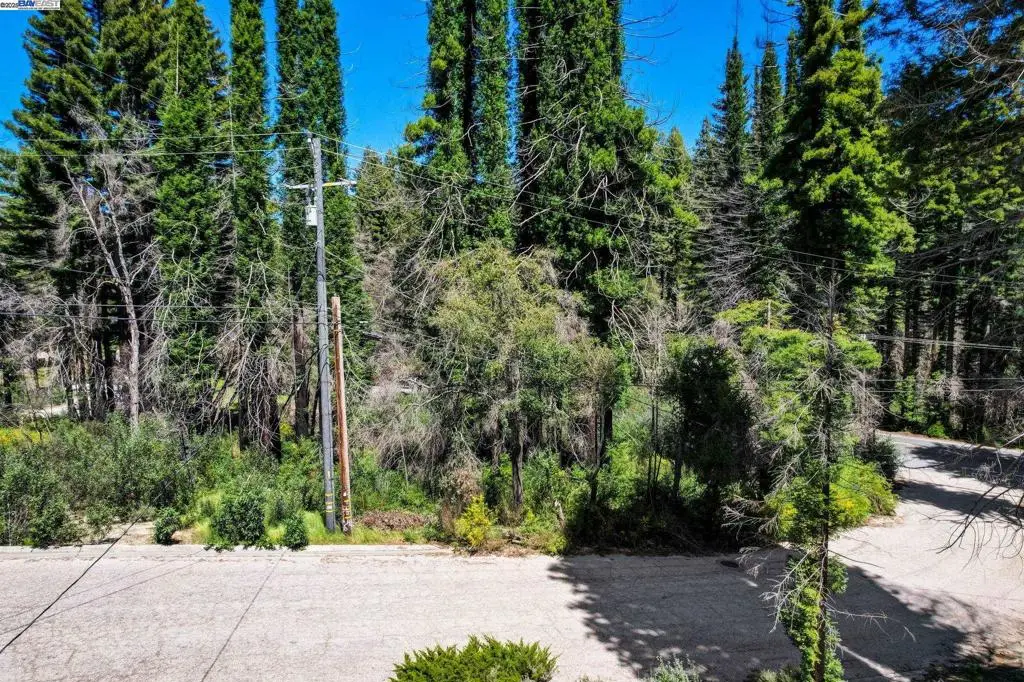 0 Fallen Leaf Dr, Boulder Creek, CA 95006 - Image #1