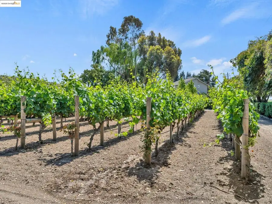 17035 Terminous Rd, Isleton, CA 95641 - Image #3