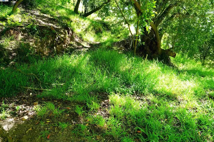 0 Willowbank Ct, Oakland, CA 94611 - Image #2