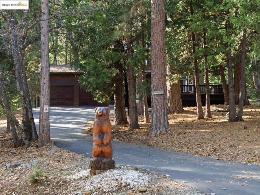 2136 2136 Silver Dr, Arnold, CA 95223 - #3