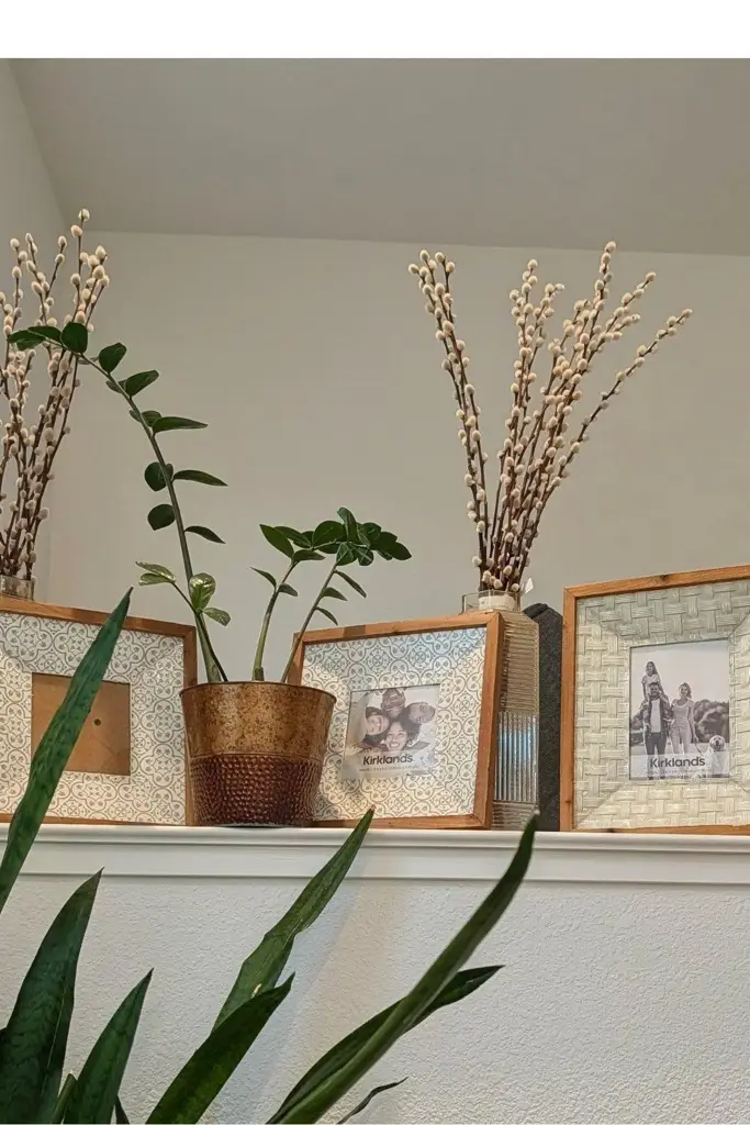 50 Driftwood Circle, Bay Point, CA 94565 - #2