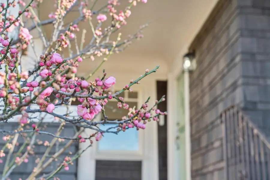 3846 Beaumont Ave, Oakland, CA 94602 - Image #3