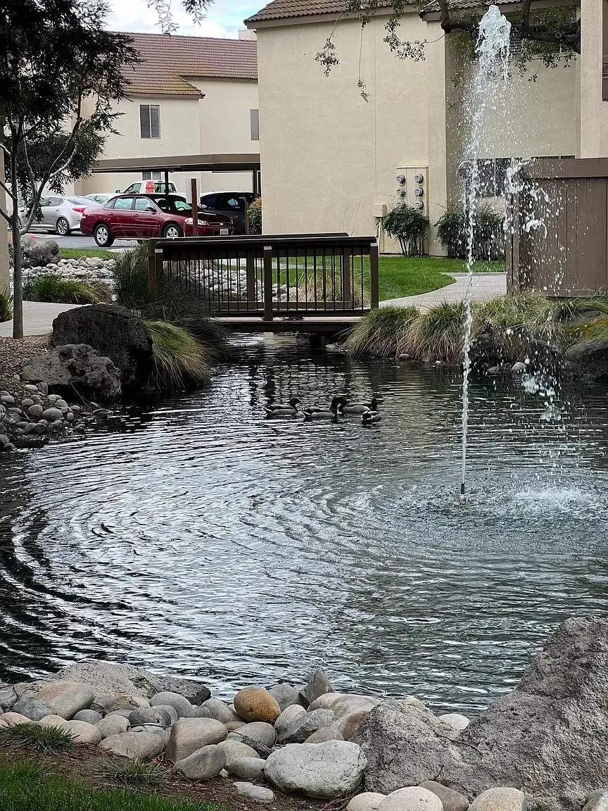 3701 Colonial Dr #36, Modesto, CA 95356 - #3