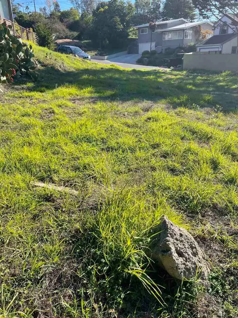 7755 Earl, El Cerrito, CA 94530 - #1