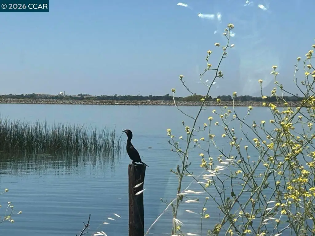 0 Bradford Island Rd, Oakley, CA 94561 - Image #1