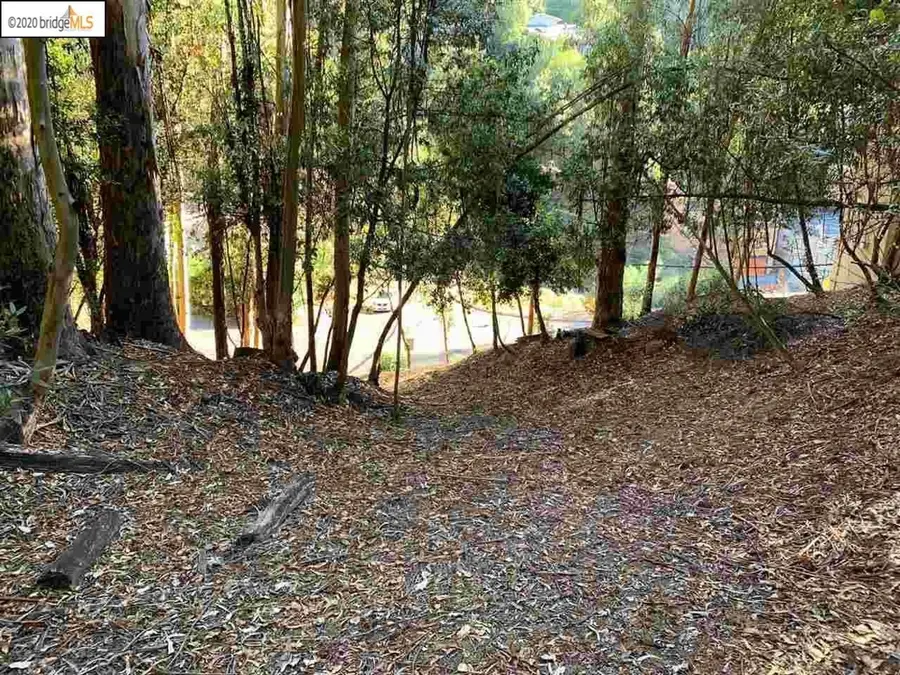 6698 Moore Dr, Oakland, CA 94611 - #3