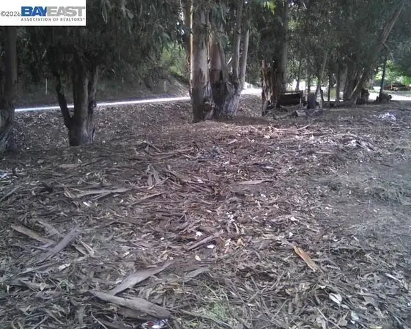 0 Morrison Canyon Rd, Fremont, CA 94536