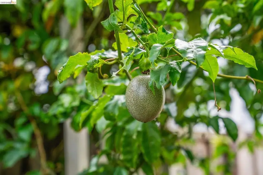 2761 2761 Martin Luther King Jr Ave, Richmond, CA 94804 - #2