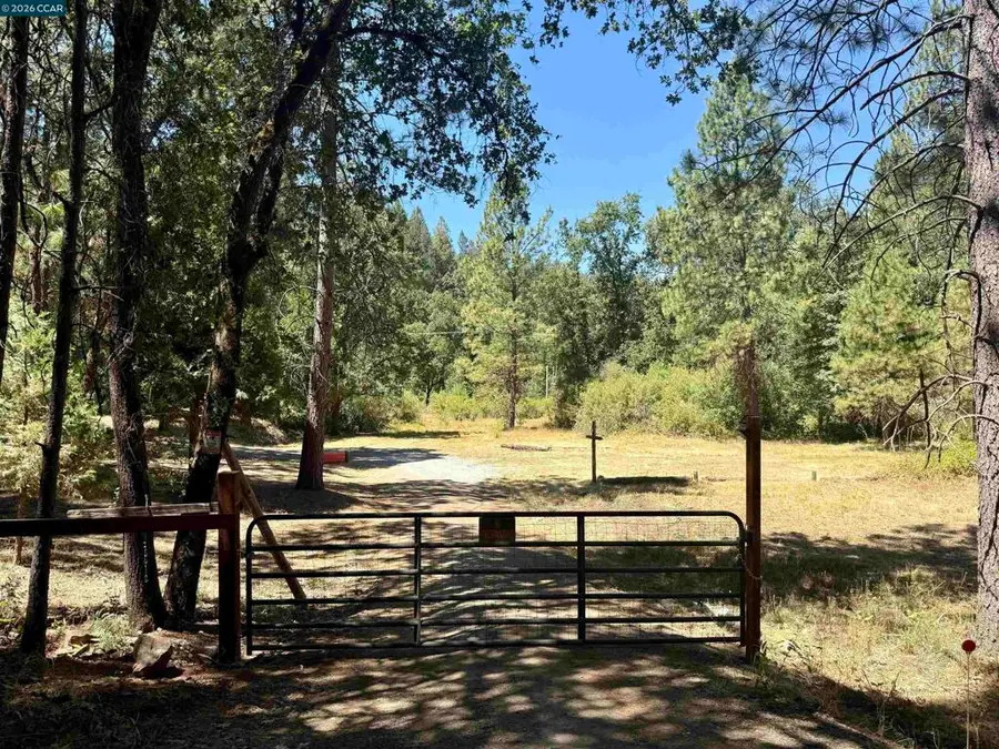 4578 4578 Pretty Good Rd, Placerville, CA 95667 - #2