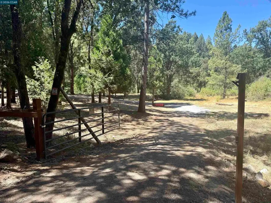 4578 4578 Pretty Good Rd, Placerville, CA 95667 - #3