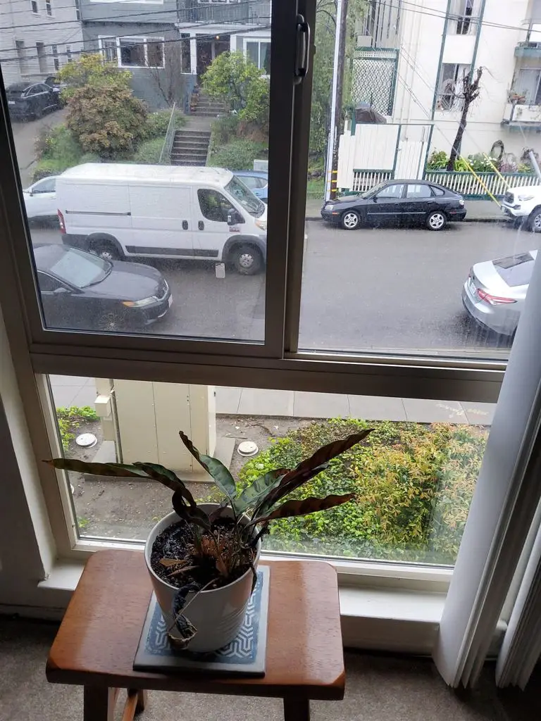 555 555 Jean St #528, Oakland, CA 94610 - #2