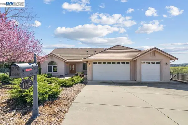 1105 Paradise Peak Rd, Valley Springs, CA 95252