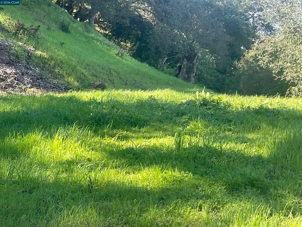 2965 Rohrer Dr, Lafayette, CA 94595 - #1